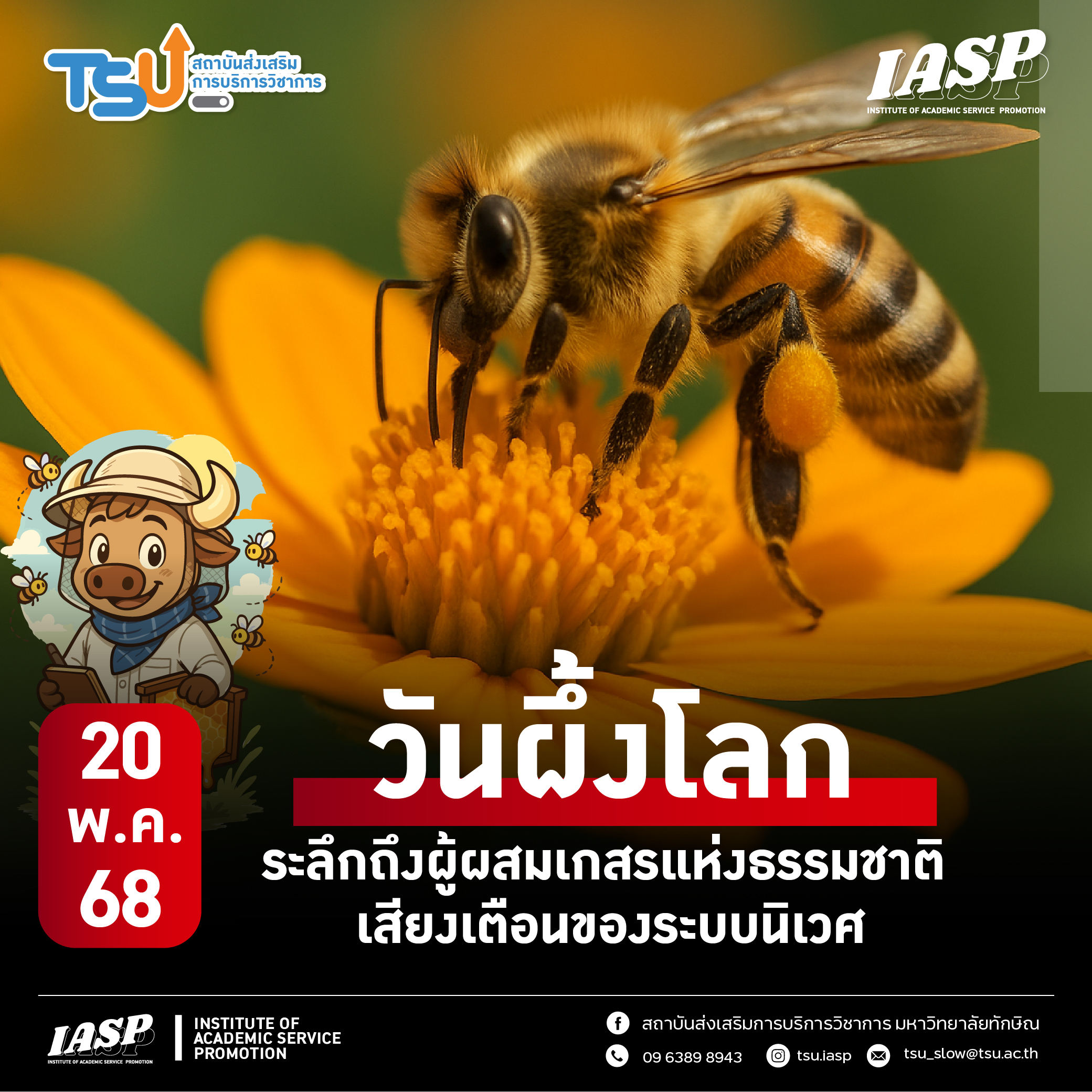 20 พฤษภาคม วันผึ้งโลก ระลึกถึงผู้ผสมเกสรแห่งธรรมชาติ เสียงเตือนของระบบนิเวศ